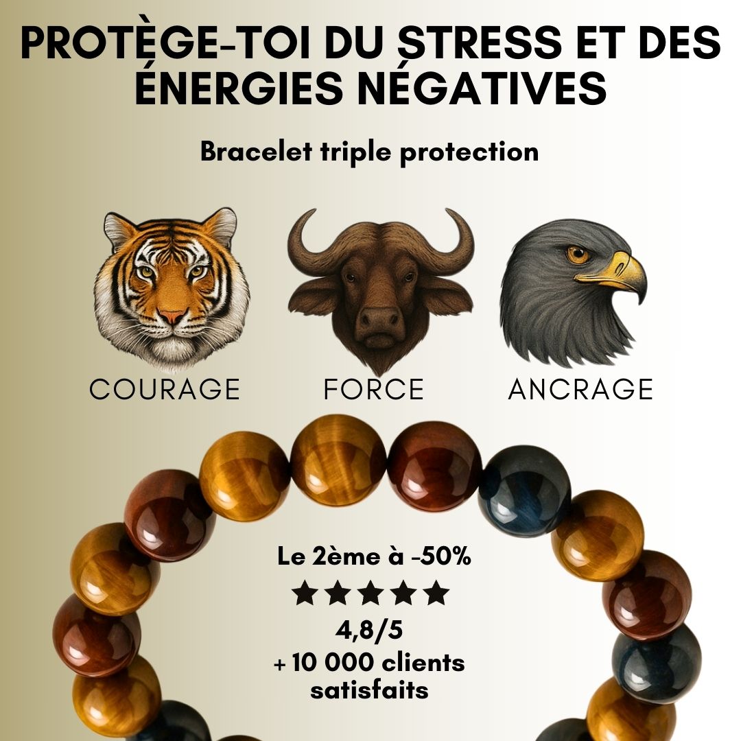 Bracelet Triple Protection – Œil de Tigre, Faucon & Taureau