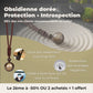 Collier – "Bouclier énergétique" – Obsidienne dorée