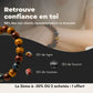 Bracelet Triple Protection – Œil de Tigre, Faucon & Taureau