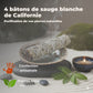 Pack “Purification complète” – Sauge Blanche de Californie