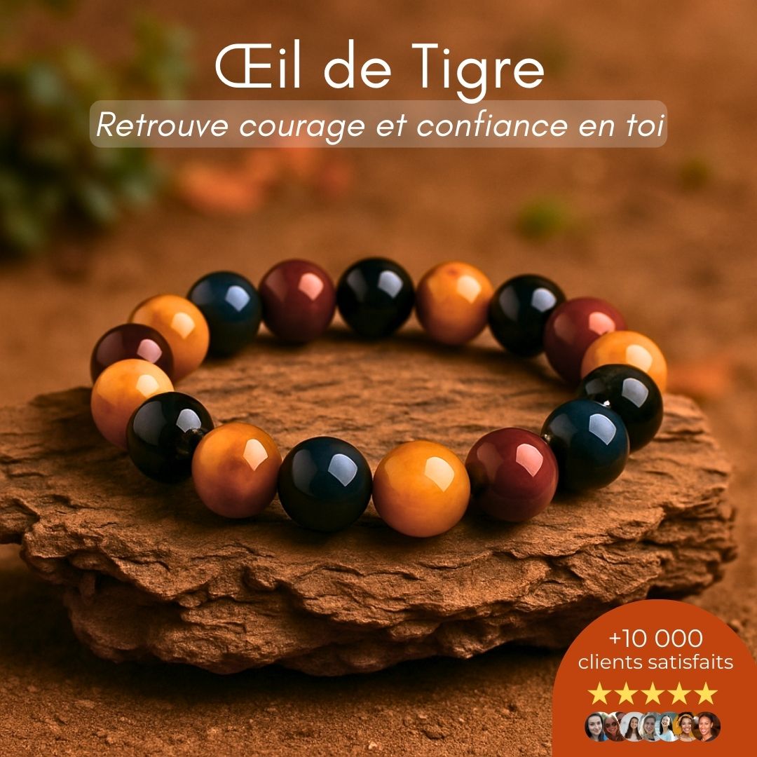 Bracelet Triple Protection – Œil de Tigre, Faucon & Taureau