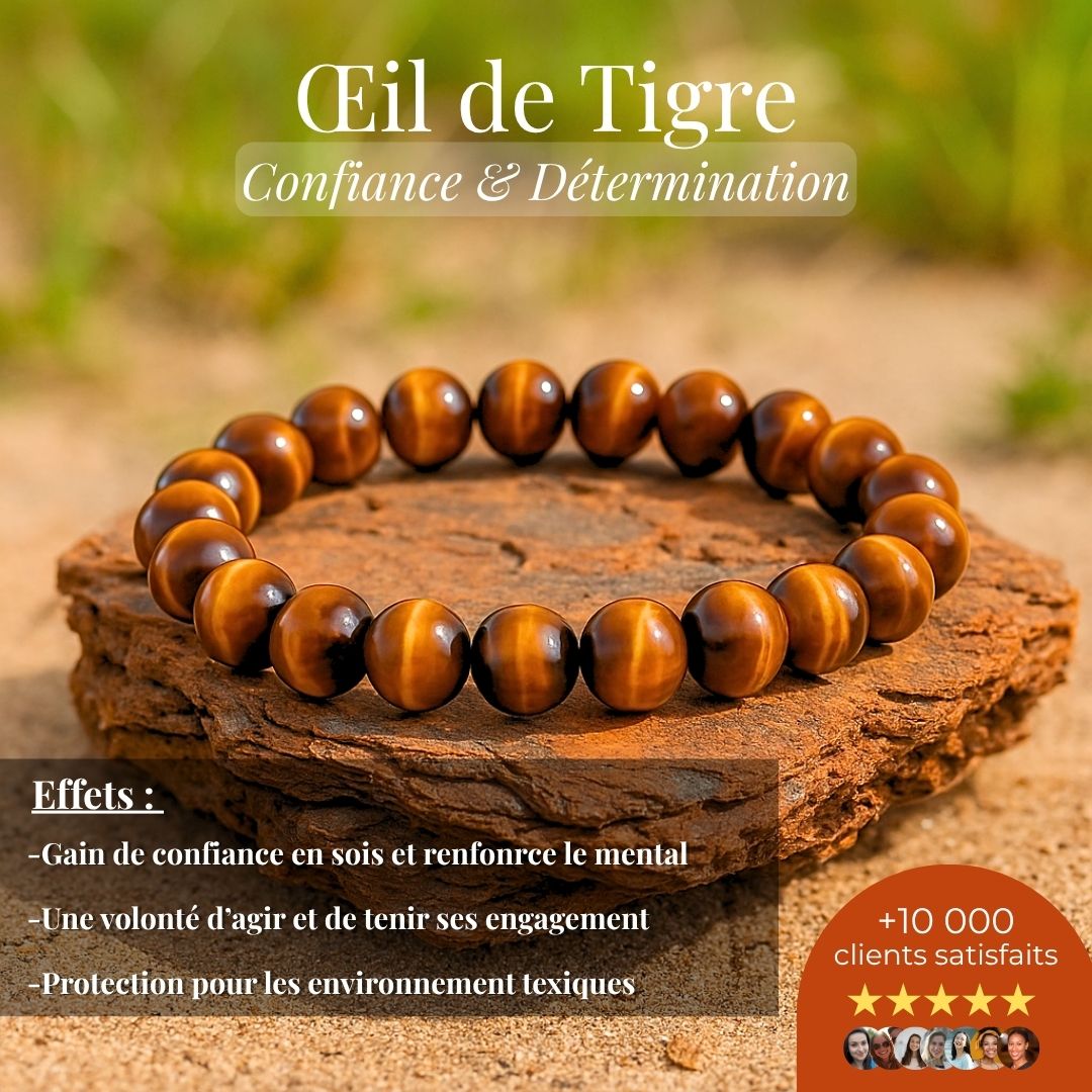 Bracelet “Confiance & Détermination” – Œil de tigre.
